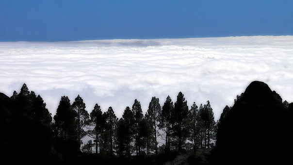 Bäume, Wolken, Silhouette, Berge, Himmel