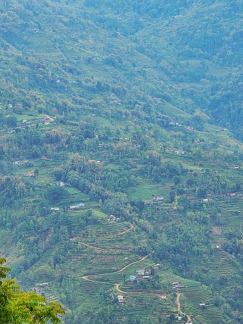 Free Mountain Valley photo and picture
