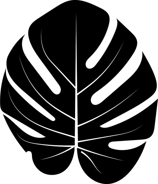 Free monstera silhouette black vector