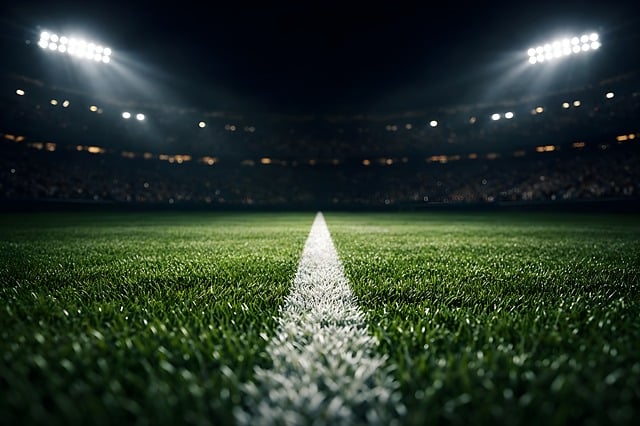 Download free HD stock image of Stadium Football Free stadium football field illustration