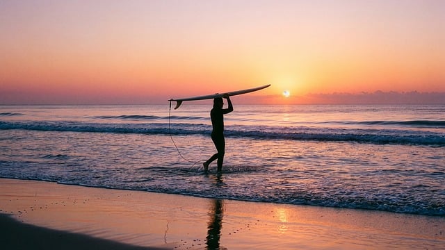 Free surfer surfing surfboard illustration