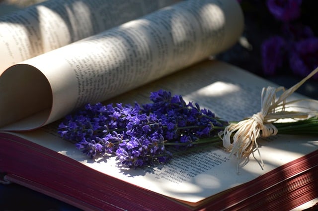 Free Book Lavender photo and picture