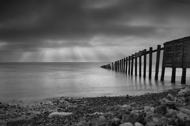 Download free HD stock image of Black-And-White Coastline Free Black-And-White Coastline photo and picture