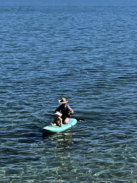 Stand-Up-Paddling, Kind, Kleinkind, See
