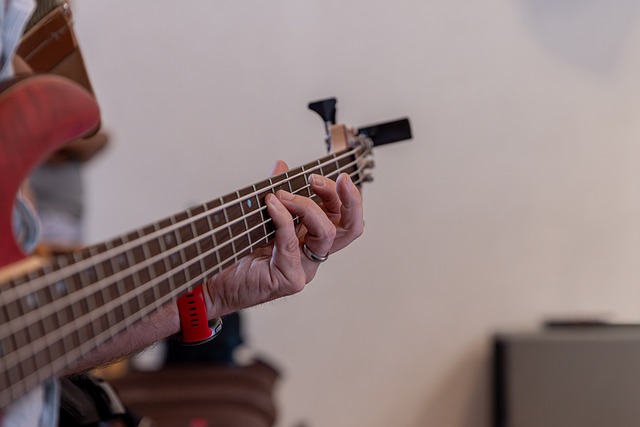Baixo Elétrico, Instrumento Musical