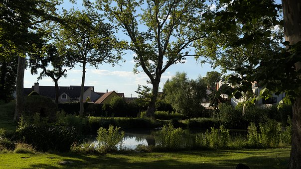 Park, Bäume, See, Sonnig, Sommer