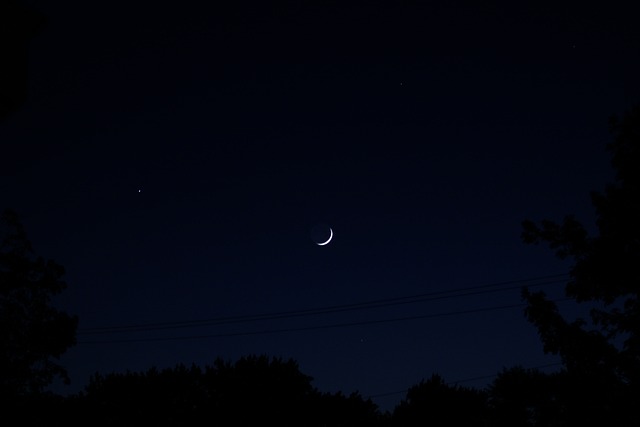 Free Night Moon photo and picture