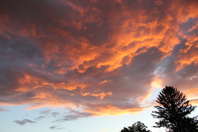 Free Sunset Clouds photo and picture