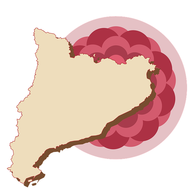 Free map nature catalonia vector