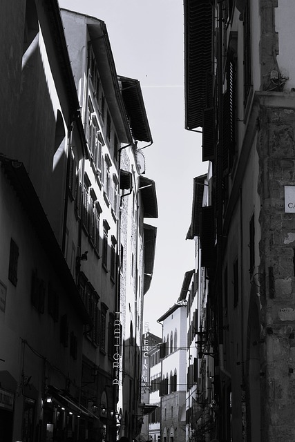 Free Street Architecture photo and picture