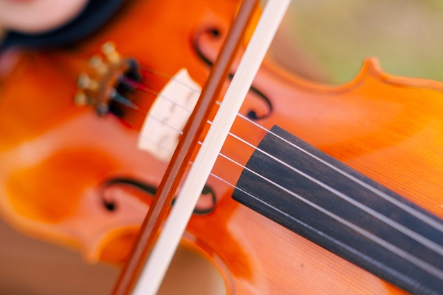 Violín, Cuerda, Instrumento Musical