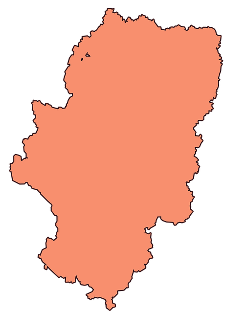 Free map aragon shape vector