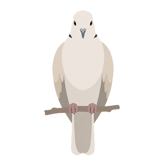 Paloma, Pájaro, Paz, Naturaleza, Ramas