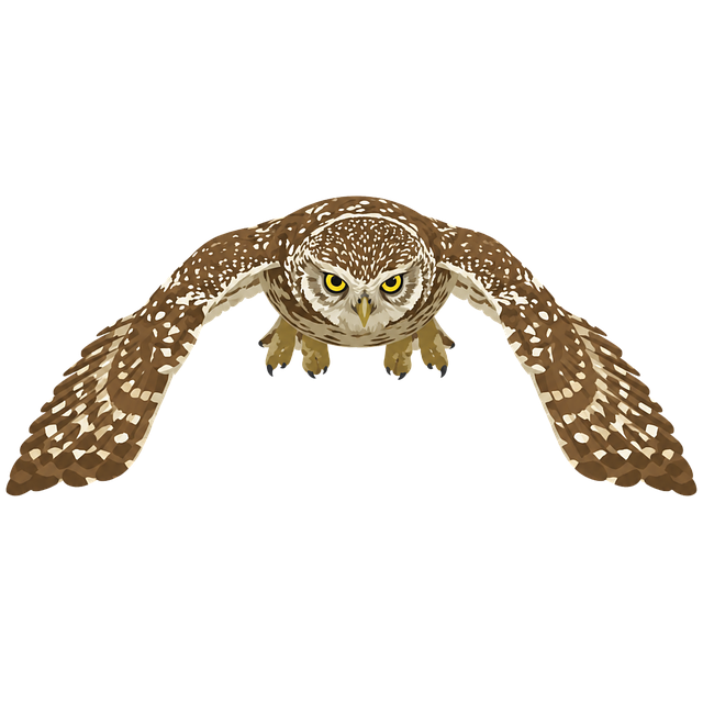 Eule, Kleine Eule, Raubvogel, Flug
