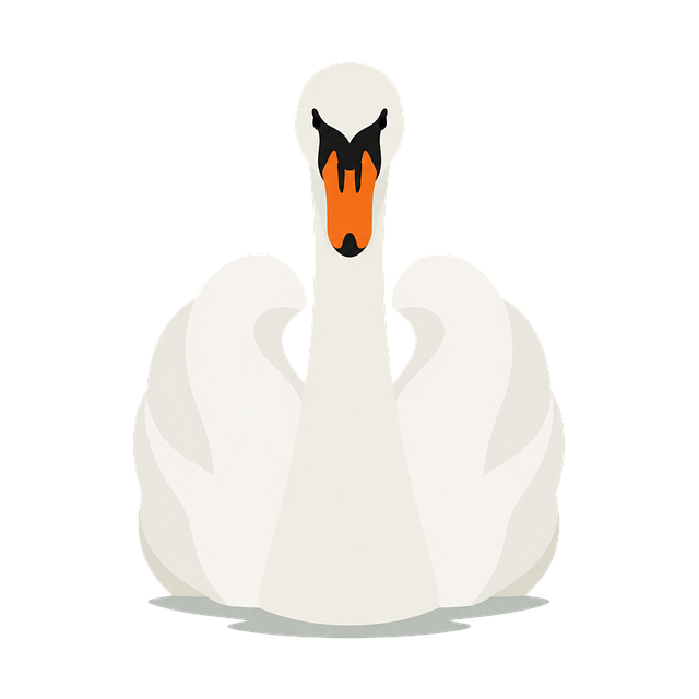 Free swan white swan water bird illustration