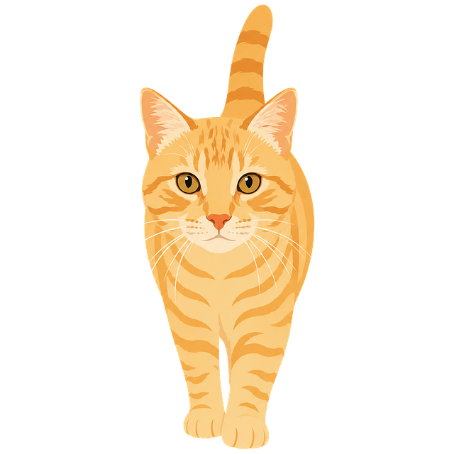 Katze, Orange Katze, Getigerte Katze