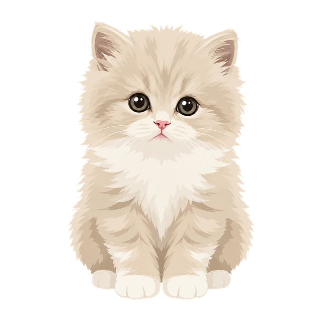 Free kitten british longhair fluffy illustration