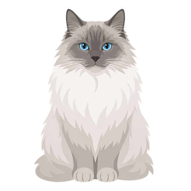 Gato, Gato De Pelo Longo, Natureza