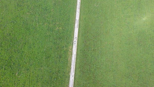 Free Drone View Path photo and picture
