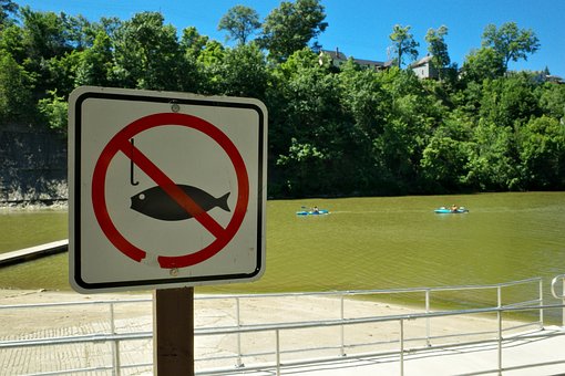 Free No Fishing River photo and picture