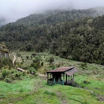 Free Mountains Fog photo and picture
