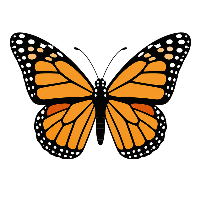 Free butterfly orange black wings illustration