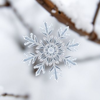 Snefnug, Vinter, Detalje, Makro, Smuk