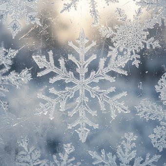 Snefnug, Frost, Vinter, Detalje, Natur
