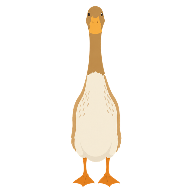 Free indian runner duck cartoon character waterfowl vector