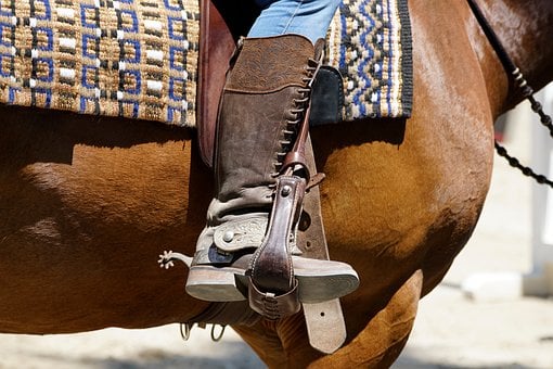 Botas, Cavalo, Equitacão, Estribos, Sela