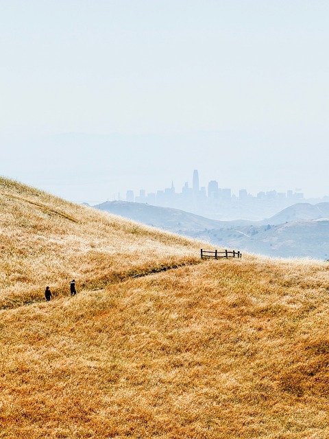 Landschaft, Stadt, Hügel, Wandern, Gras