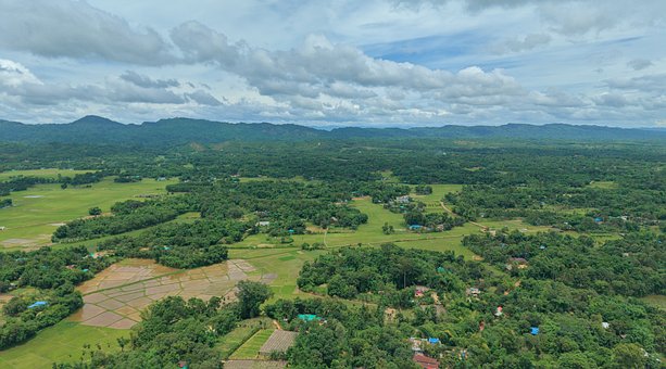 Free Aerial Agriculture photo and picture