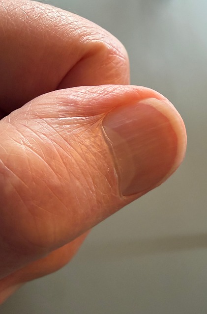 Free Thumb Nail photo and picture