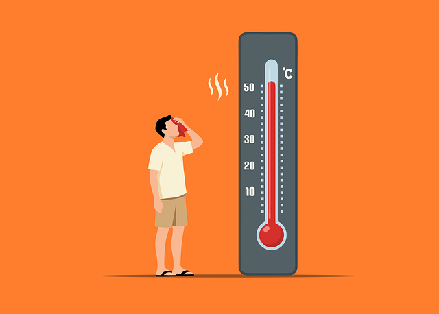 Free heat summer thermometer vector