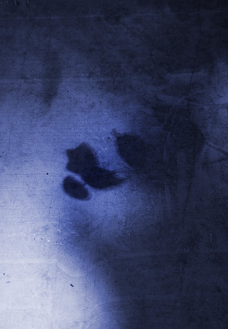 Free Abstract Blue photo and picture