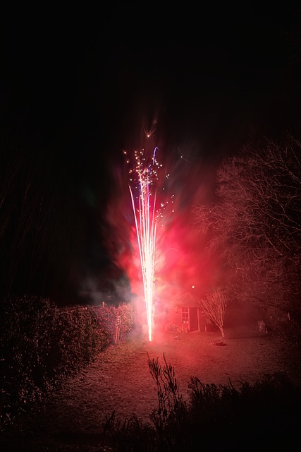Free Firework Red photo and picture