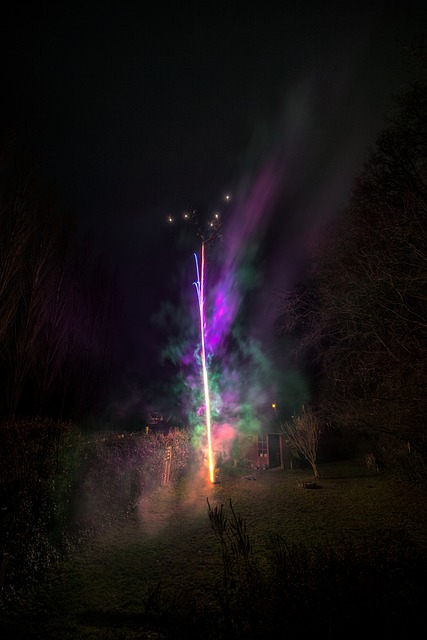 Free Garden Firework photo and picture
