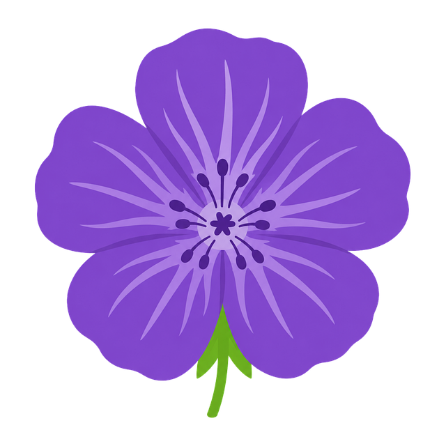 Free geranium purple flower flower vector