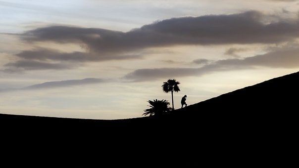 Wüste, Natur, Landschaft, Silhouette