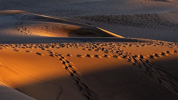 Dünen, Sand, Wüste, Spuren, Schatten