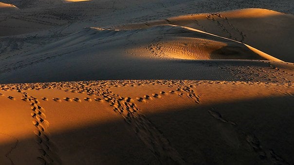 Wüste, Sand, Dünen, Fußabdrücke