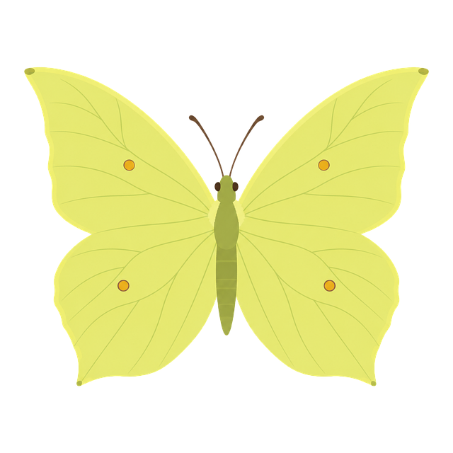Free butterfly brimstone yellow vector