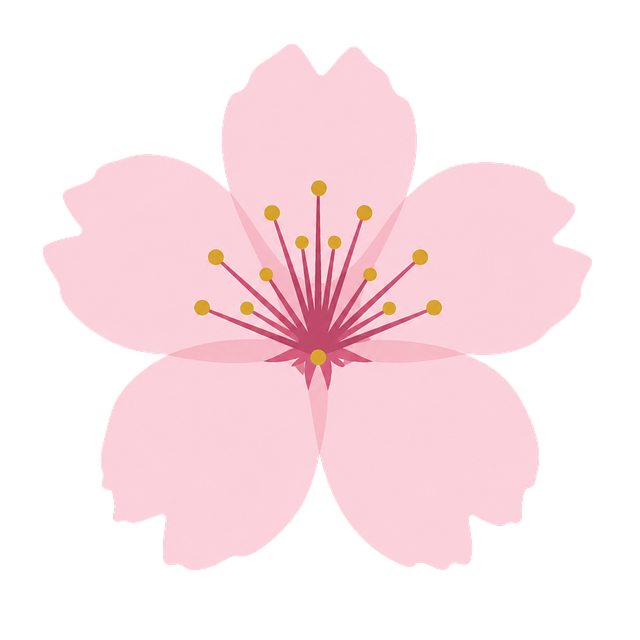 Free cherry blossom pink flowers petals vector