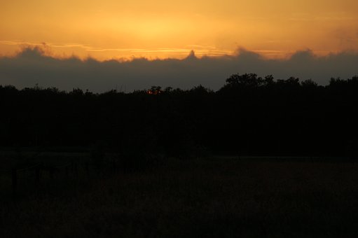 Free Sunset Trees photo and picture