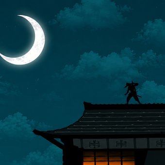 Mond, Nachthimmel, Schwarz, Silhouette
