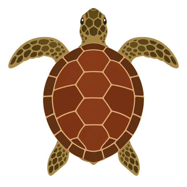 Meeresschildkröte, Reptil, Muschelmuster