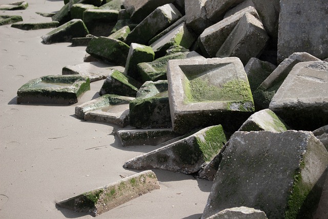 Beton, Písek, Mech, Příroda, Vlnolam