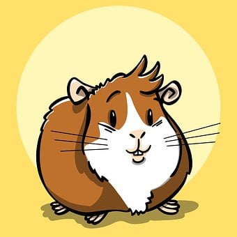 Free Animal Cute photo and picture
