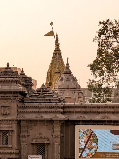 Free Kashi Vishwanath Temple photo and picture