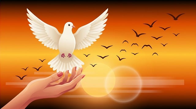 Download free HD stock image of Dove Peace Free dove peace hand illustration